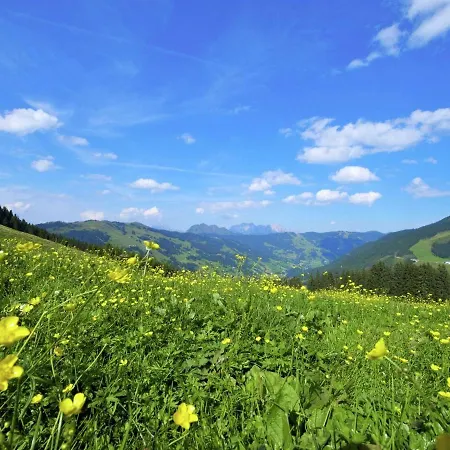 Lovely Chalet With Sauna Storage Heating Carport Saalbach-Hinterglemm